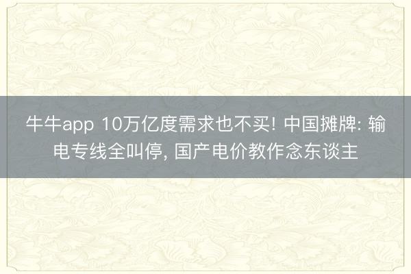 牛牛app 10万亿度需求也不买! 中国摊牌: 输电专线全叫停, 国产电价教作念东谈主