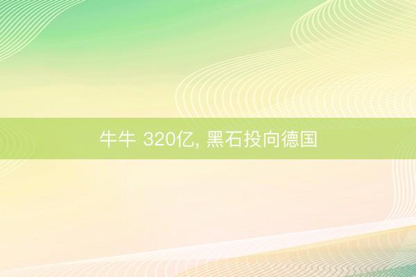 牛牛 320亿， 黑石投向德国
