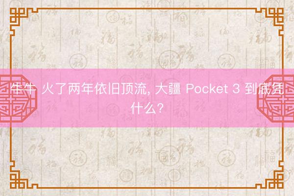 牛牛 火了两年依旧顶流， 大疆 Pocket 3 到底凭什么?