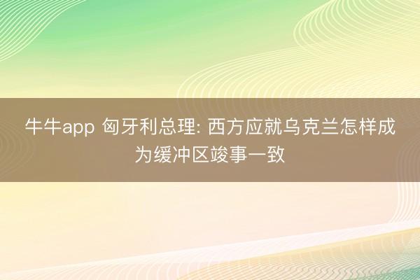 牛牛app 匈牙利总理: 西方应就乌克兰怎样成为缓冲区竣事一致