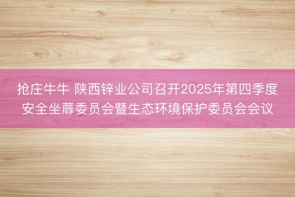 抢庄牛牛 陕西锌业公司召开2025年第四季度安全坐蓐委员会暨生态环境保护委员会会议