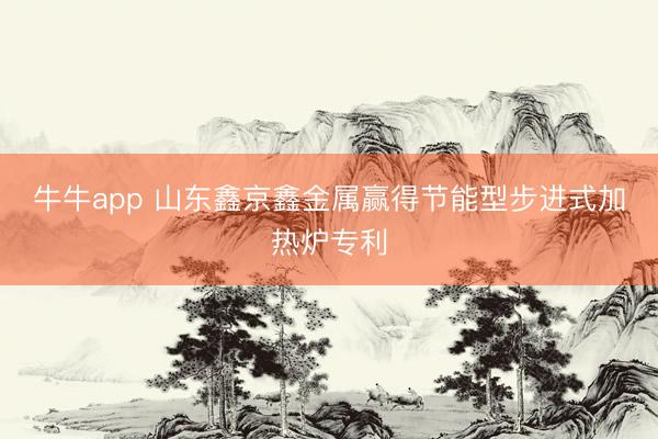 牛牛app 山东鑫京鑫金属赢得节能型步进式加热炉专利
