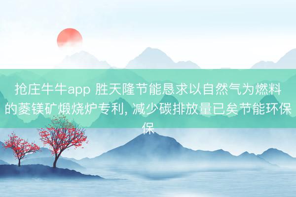 抢庄牛牛app 胜天隆节能恳求以自然气为燃料的菱镁矿煅烧炉专利, 减少碳排放量已矣节能环保