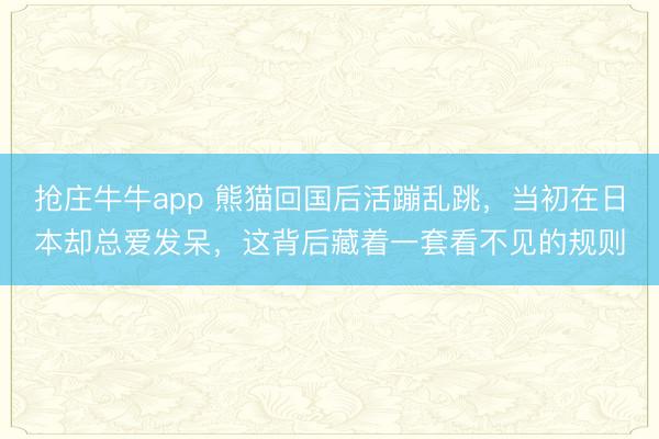 抢庄牛牛app 熊猫回国后活蹦乱跳，当初在日本却总爱发呆，这背后藏着一套看不见的规则