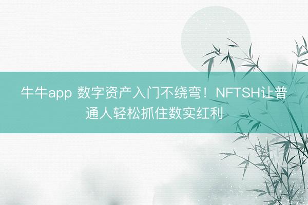 牛牛app 数字资产入门不绕弯！NFTSH让普通人轻松抓住数实红利