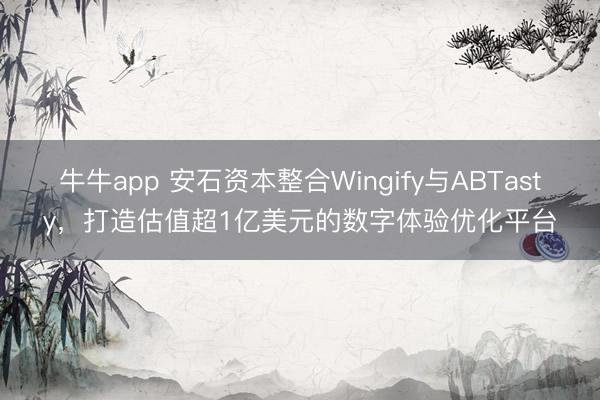 牛牛app 安石资本整合Wingify与ABTasty，打造估值超1亿美元的数字体验优化平台