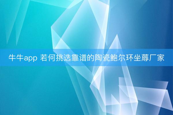 牛牛app 若何挑选靠谱的陶瓷鲍尔环坐蓐厂家