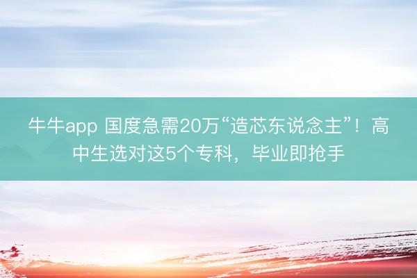 牛牛app 国度急需20万“造芯东说念主”！高中生选对这5个专科，毕业即抢手