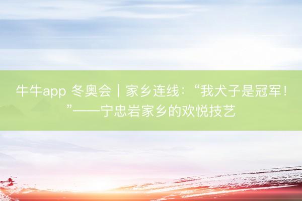 牛牛app 冬奥会｜家乡连线：“我犬子是冠军！”——宁忠岩家乡的欢悦技艺