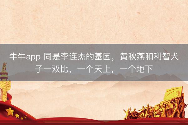 牛牛app 同是李连杰的基因，黄秋燕和利智犬子一双比，一个天上，一个地下