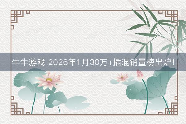 牛牛游戏 2026年1月30万+插混销量榜出炉！
