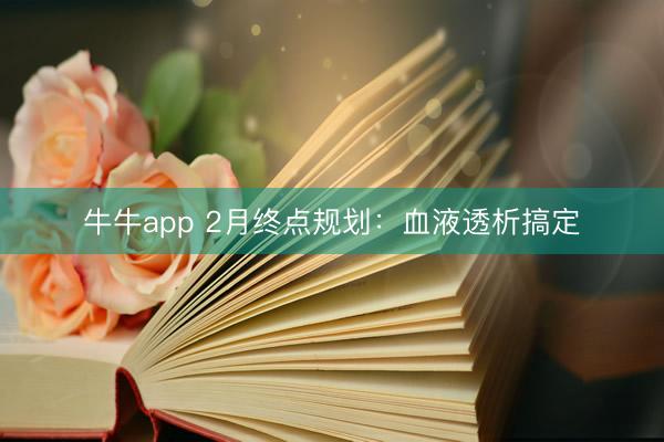 牛牛app 2月终点规划：血液透析搞定