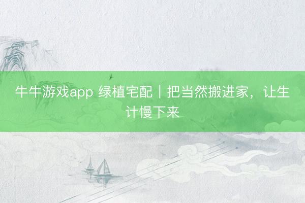 牛牛游戏app 绿植宅配｜把当然搬进家，让生计慢下来