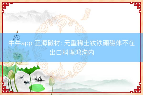 牛牛app 正海磁材: 无重稀土钕铁硼磁体不在出口料理鸿沟内