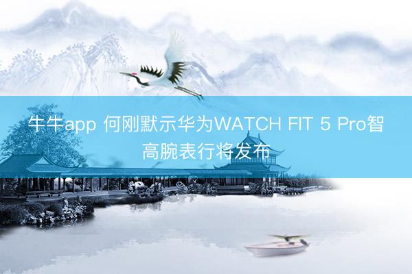 牛牛app 何刚默示华为WATCH FIT 5 Pro智高腕表行将发布