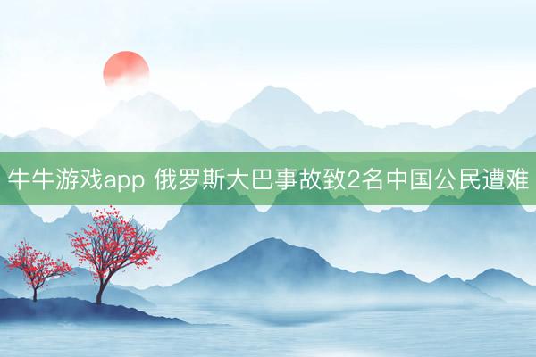 牛牛游戏app 俄罗斯大巴事故致2名中国公民遭难