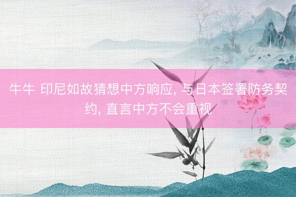 牛牛 印尼如故猜想中方响应， 与日本签署防务契约， 直言中方不会重视