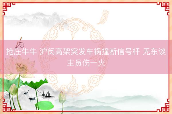 抢庄牛牛 沪闵高架突发车祸撞断信号杆 无东谈主员伤一火