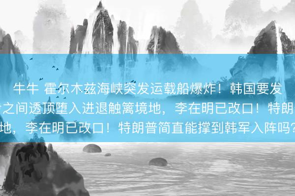 牛牛 霍尔木兹海峡突发运载船爆炸！韩国要发兵中东，夹在好意思伊之间透顶堕入进退触篱境地，李在明已改口！特朗普简直能撑到韩军入阵吗？