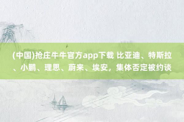 (中国)抢庄牛牛官方app下载 比亚迪、特斯拉、小鹏、理思、蔚来、埃安,集体否定被约谈