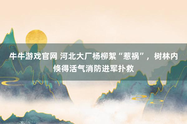 牛牛游戏官网 河北大厂杨柳絮“惹祸”，树林内倏得活气消防进军扑救