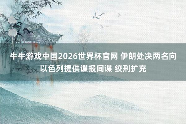 牛牛游戏中国2026世界杯官网 伊朗处决两名向以色列提供谍报间谍 绞刑扩充