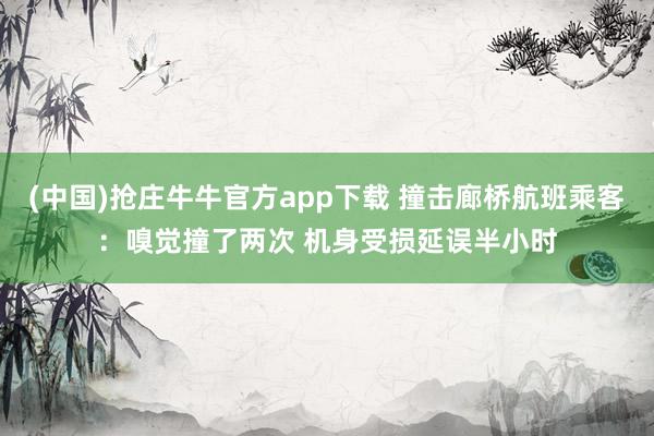 (中国)抢庄牛牛官方app下载 撞击廊桥航班乘客：嗅觉撞了两次 机身受损延误半小时