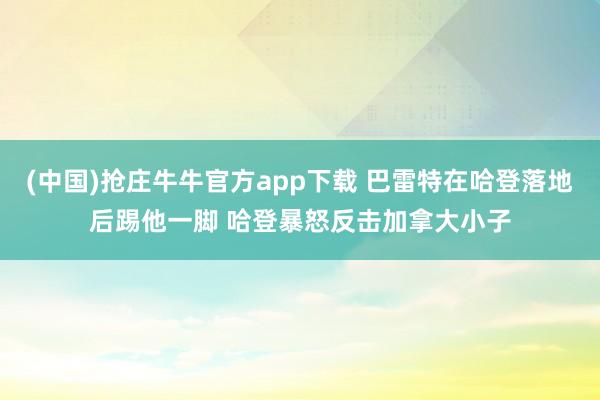 (中国)抢庄牛牛官方app下载 巴雷特在哈登落地后踢他一脚 哈登暴怒反击加拿大小子