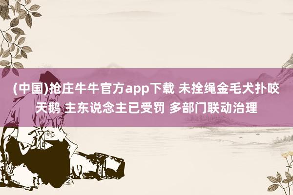 (中国)抢庄牛牛官方app下载 未拴绳金毛犬扑咬天鹅 主东说念主已受罚 多部门联动治理