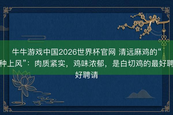 牛牛游戏中国2026世界杯官网 清远麻鸡的“品种上风”：肉质紧实，鸡味浓郁，是白切鸡的最好聘请