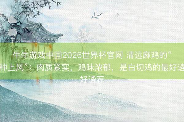 牛牛游戏中国2026世界杯官网 清远麻鸡的“品种上风”：肉质紧实，鸡味浓郁，是白切鸡的最好遴荐