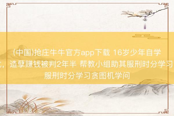 (中国)抢庄牛牛官方app下载 16岁少年自学“黑客”时代,造孽赚钱被判2年半 帮教小组助其服刑时分学习贪图机学问