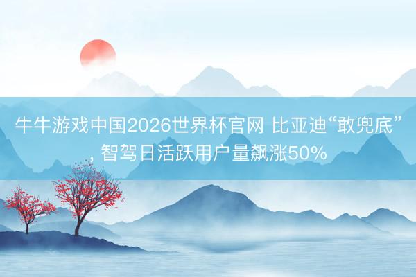 牛牛游戏中国2026世界杯官网 比亚迪“敢兜底”， 智驾日活跃用户量飙涨50%