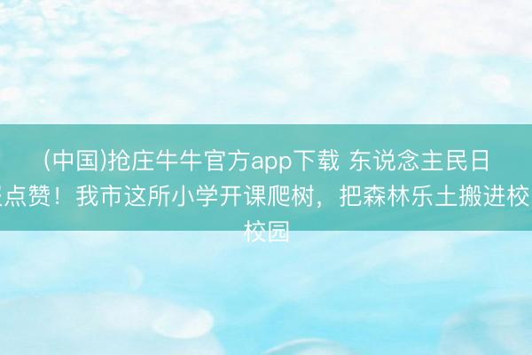 (中国)抢庄牛牛官方app下载 东说念主民日报点赞！我市这所小学开课爬树，把森林乐土搬进校园